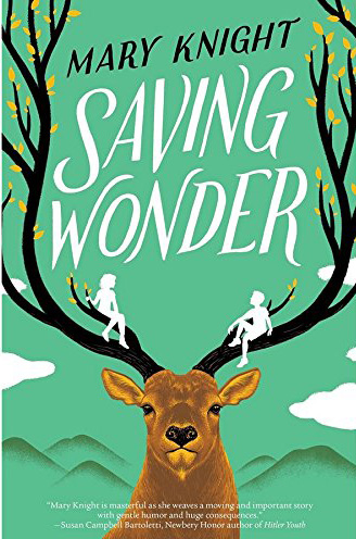 cover of saving wonder
