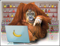cartoon sketch of an orangutan working on a computer